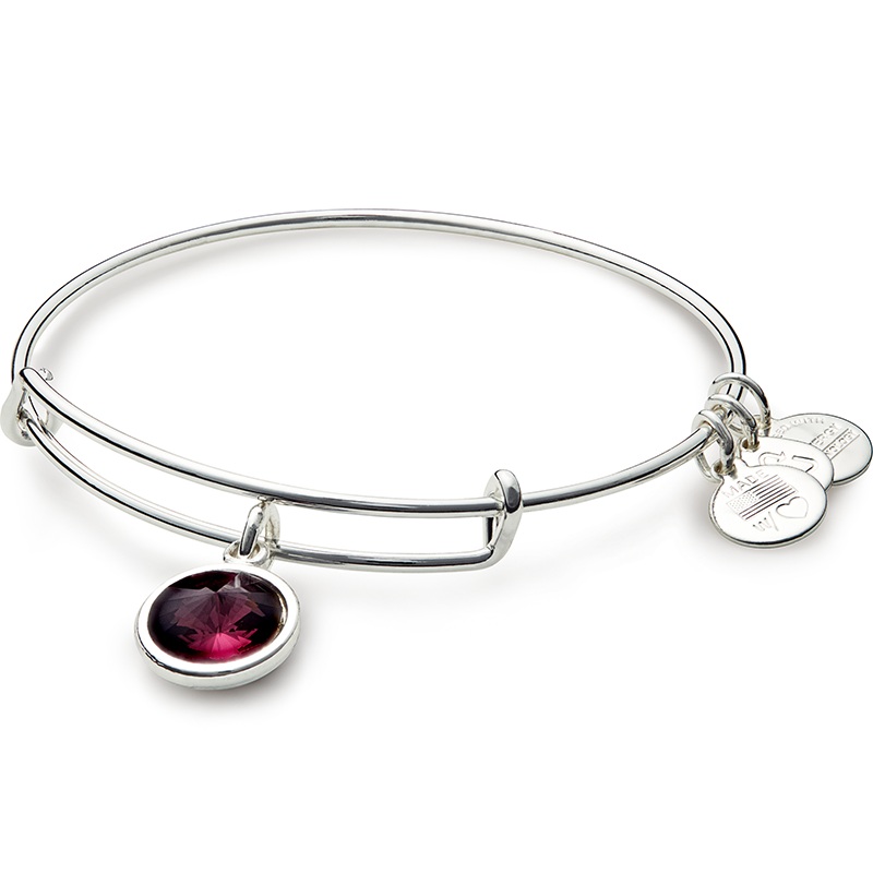 February Birth Month Charm Bangle
