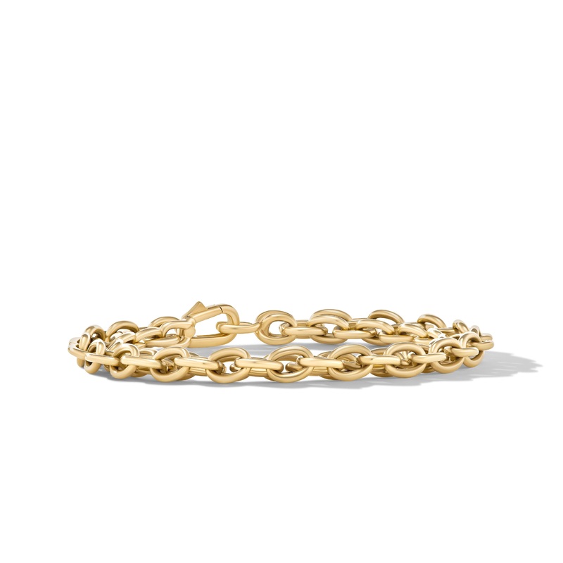Shipwreck Chain Bracelet in 18K Yellow Gold